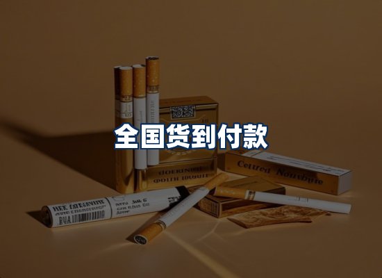 专业团队办公环境